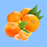 category
